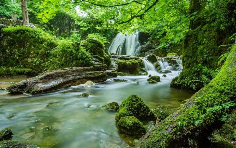 高性能高端智慧